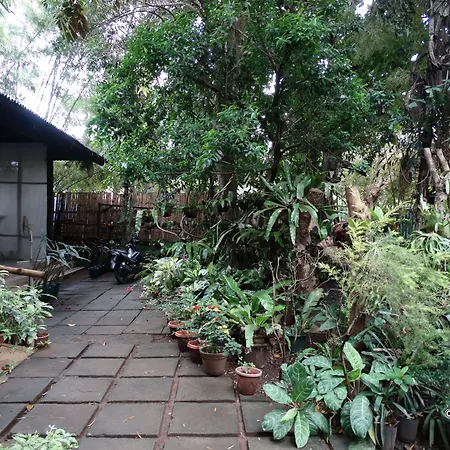 Greenspace Palawan-3